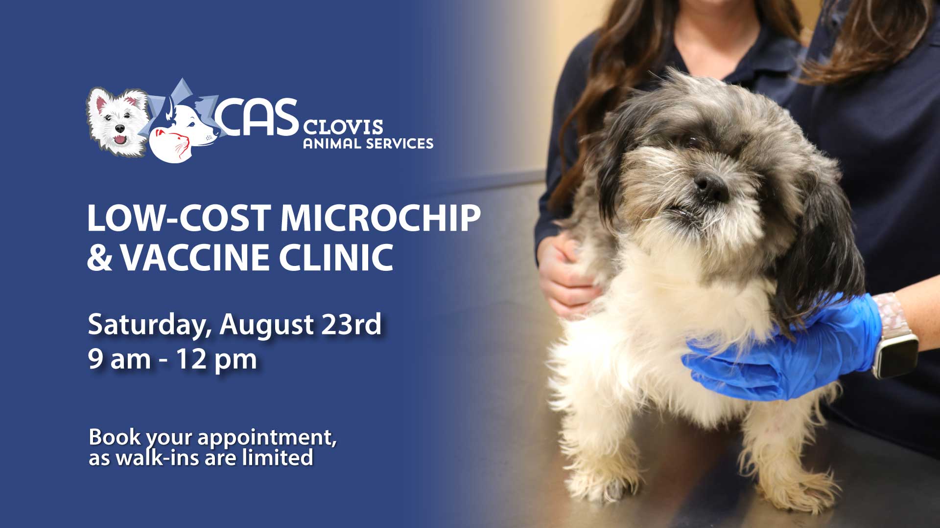 dog being held by vet tech